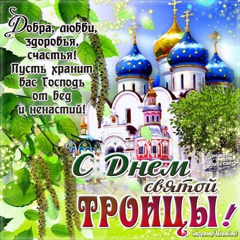 20199469.jpg