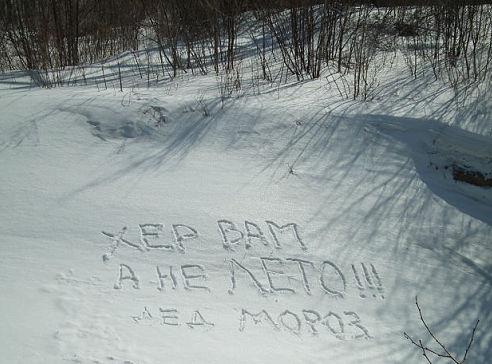 дм.jpg