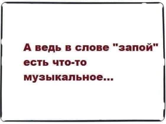 FB_IMG_1597571841157.jpg