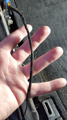image (1).jpg